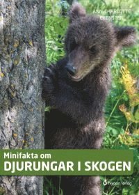 Cover for Ann-Charlotte Ekensten · Minifakta om ...: Minifakta om djurungar i skogen (Bound Book) (2016)