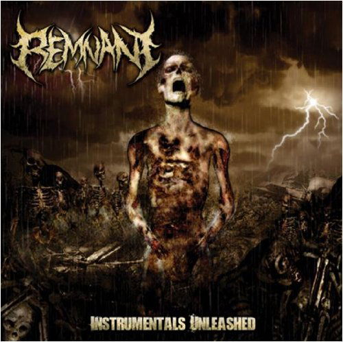 Cover for Remnant · Instrumentals Unleashed (CD) [Japan Import edition] (2012)