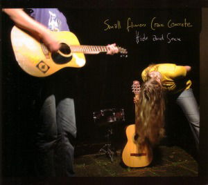 Cover for Small Flowers Crack Concrete · Hide and Seek (CD) (2009)