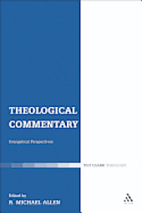 Cover for R. Michael Allen · Theological Commentary: Evangelical Perspectives (Hardcover Book) (2011)