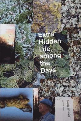 Cover for Brenda Hillman · Extra Hidden Life, among the Days - Wesleyan Poetry Series (Hardcover Book) (2018)