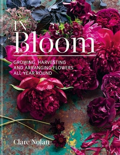 Cover for Clare Nolan · In Bloom: Growing, harvesting and arranging flowers all year round (Gebundenes Buch) (2019)