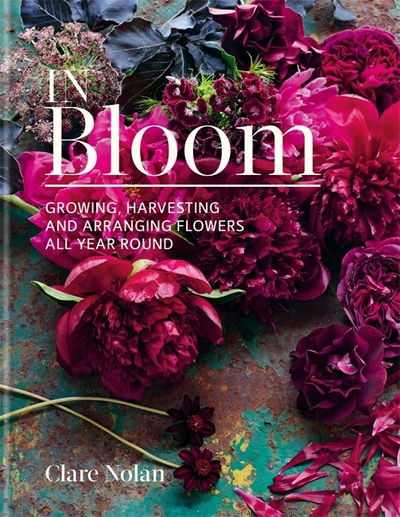 In Bloom: Growing, harvesting and arranging flowers all year round - Clare Nolan - Books - Octopus Publishing Group - 9780857833051 - April 26, 2019