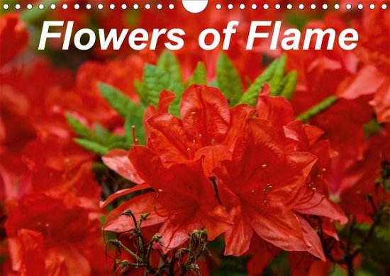 Cover for Knowles · Flowers of Flame (Wall Calendar (Buch)