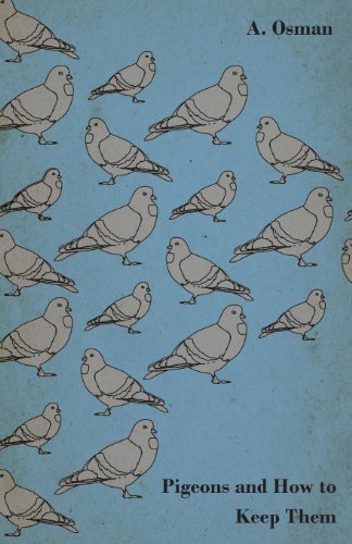 Cover for A. Osman · Pigeons and How to Keep Them (Pocketbok) (2010)
