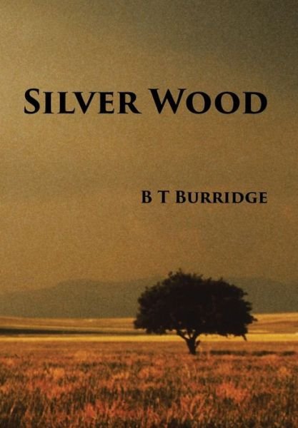 Cover for B T Burridge · Silver Wood (Innbunden bok) (2016)