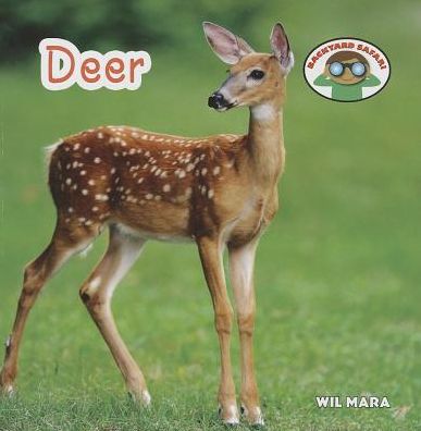 Cover for Wil Mara · Deer (Backyard Safari) (Paperback Book) (2014)