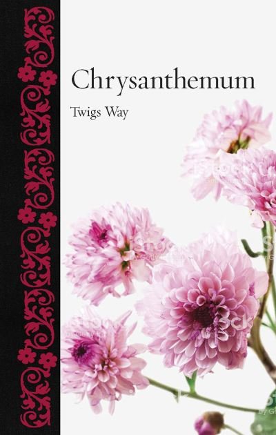 Cover for Twigs Way · Chrysanthemum - Botanical (Hardcover Book) (2020)