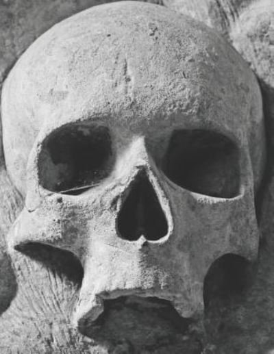 Cover for Pagan Essentials · Gothic Skull Sheet Music Paper (Taschenbuch) (2019)
