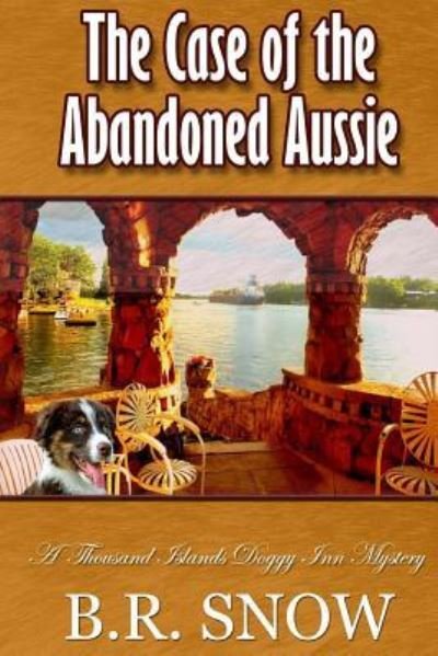 Cover for B R Snow · The Case of the Abandoned Aussie (Paperback Book) (2016)