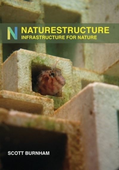 Cover for Scott Burnham · NatureStructure (Paperback Book) (2020)
