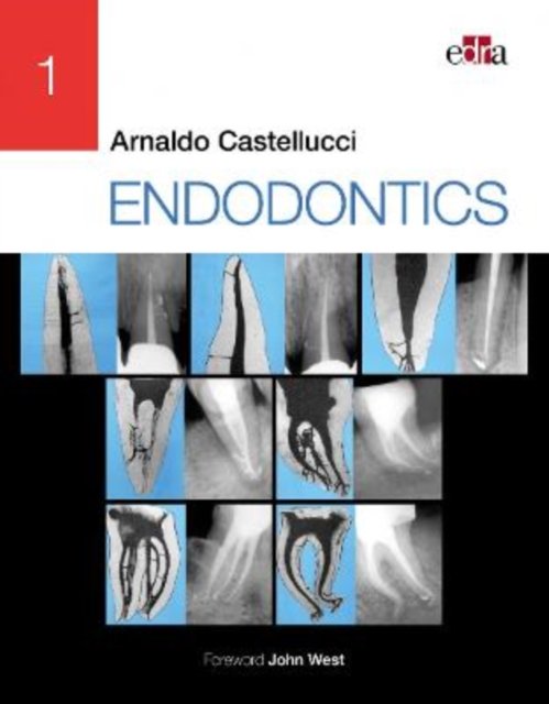 Cover for Arnaldo Castellucci · ENDODONTICS - 2 Volume Set (Innbunden bok) (2022)