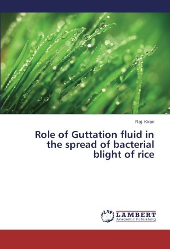 Cover for Raj Kiran · Role of Guttation Fluid in the Spread of Bacterial Blight of Rice (Paperback Bog) (2014)