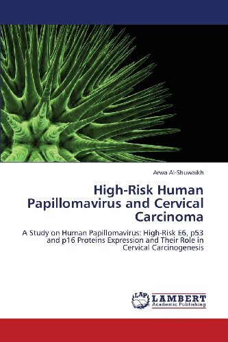 Cover for Arwa Al-shuwaikh · High-risk Human Papillomavirus and Cervical Carcinoma: a Study on Human Papillomavirus: High-risk E6, P53 and P16 Proteins Expression and Their Role in Cervical Carcinogenesis (Pocketbok) (2013)