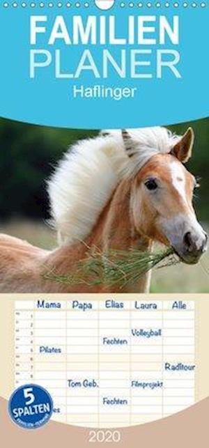 Cover for Noack · Haflinger - Familienplaner hoch ( (Book)