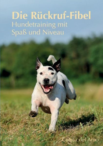 Cover for Celina Del Amo · Die Ruckruf-fibel (Paperback Book) [German edition] (2014)