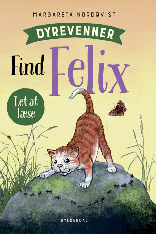 Cover for Margareta Nordqvist · Dyrevenner: Dyrevenner - Find Felix (Gebundesens Buch) [1. Ausgabe] (2019)