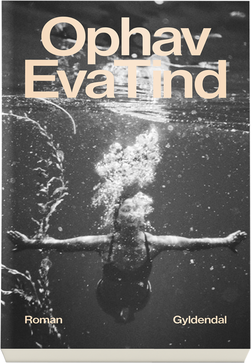 Cover for Eva Tind · Ophav (Taschenbuch) [1. Ausgabe] (2019)