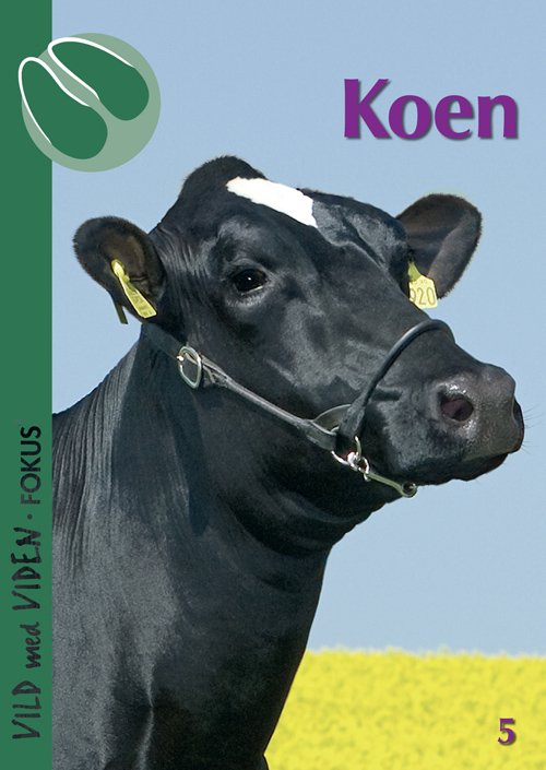 Cover for Henrik Baymler · Vild med Viden FOKUS, Serie 1 Danske husdyr: Koen (Hæftet bog) (2018)