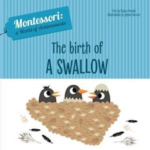 Cover for Chiara Piroddi · The Birth of a Swallow: Montessori: A World of Achievements - Montessori: Touch and Feel (Gebundenes Buch) (2023)