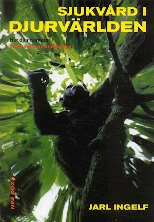 Cover for Jarl Ingelf · Sjukvård i djurvärlden : Hur djur hanterar livets svåraste utmaningar (Book) (2002)