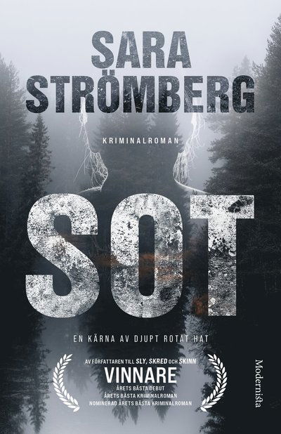 Sot - Sara Strömberg - Books - Modernista - 9789181085051 - August 22, 2025