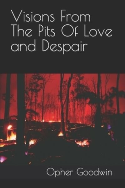 Visions From The Pits Of Love and Despair - Opher Goodwin - Boeken - Independently Published - 9798475490051 - 12 september 2021