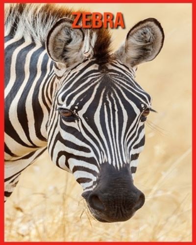 Cover for Linda Davis · Zebra (Paperback Book) (2021)