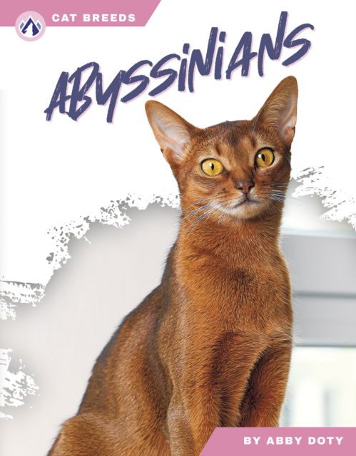 Cover for Abby Doty · Abyssinians - Cat Breeds (Hardcover Book) (2025)