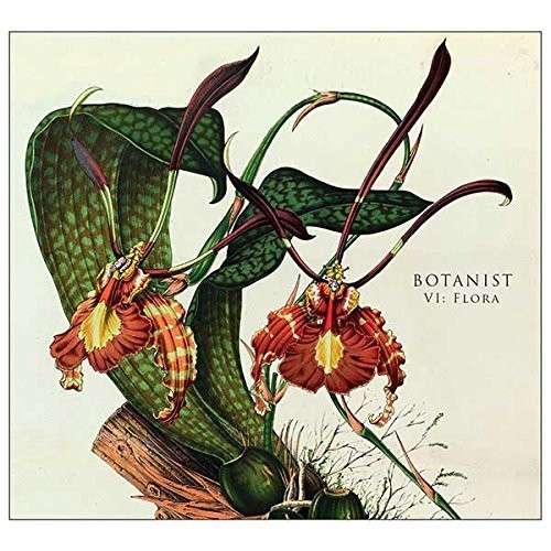 Vi: Flora - Botanist - Music - The Flenser - 0723175699052 - August 19, 2014