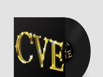 We Represent Billions - C.v.e. - Chillin Villains - Music - NYEGE NYEGE TAPES - 0742521170052 - June 17, 2022