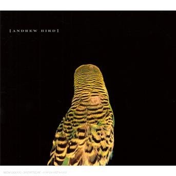 Cover for Andrew Bird · Armchair Apocrypha (CD) (2007)