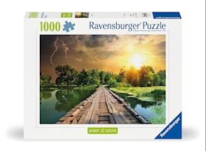 Pz.Mystisches Licht 1000 Teile -  - Gadżety - Ravensburger - 4005555003052 - 