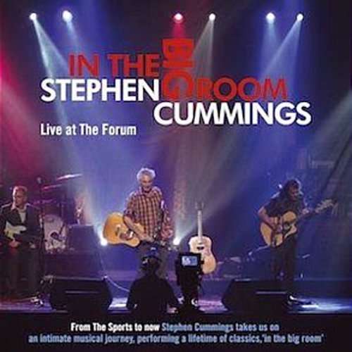 In the Big Room - Stephen Cummings - Musik - HEAD - 9340650000052 - 25. August 2008