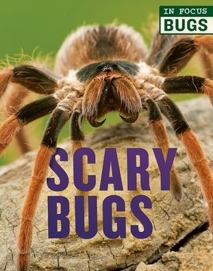 Cover for Camilla de la Bedoyere · Scary Bugs (Book) (2020)