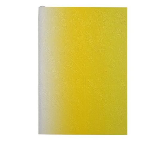 Christian Lacroix B5 Neon Yellow Ombre Paseo Notebook - Christian Lacroix - Books - Galison - 9780735350052 - September 1, 2016