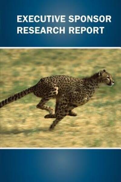 Cover for James Johnson · Executive Sponsor Research Report (Paperback Book) (2016)