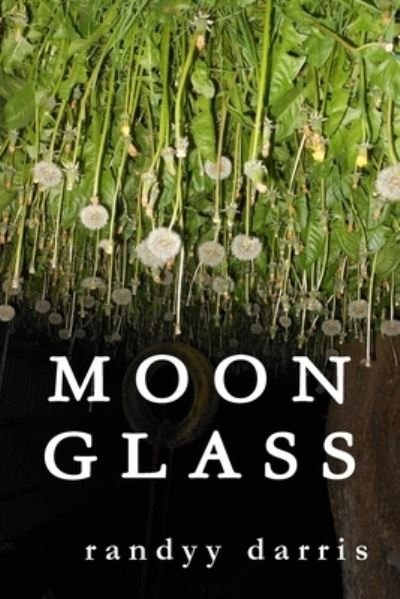 Cover for Randyy Darris · Moon Glass (Paperback Book) (2017)