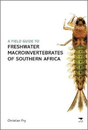 Cover for Christian Fry · Field Guide to the Freshwater Macroinvertebrates of Southern Africa (Pocketbok) (2021)