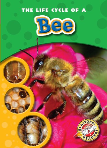 Cover for Colleen Sexton · The Life Cycle of a Bee (Blastoff! Readers: Life Cycles) (Blastoff Readers. Level 3) (Hardcover Book) (2010)