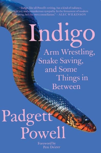 Cover for Padgett Powell · Indigo (Paperback Book) (2021)