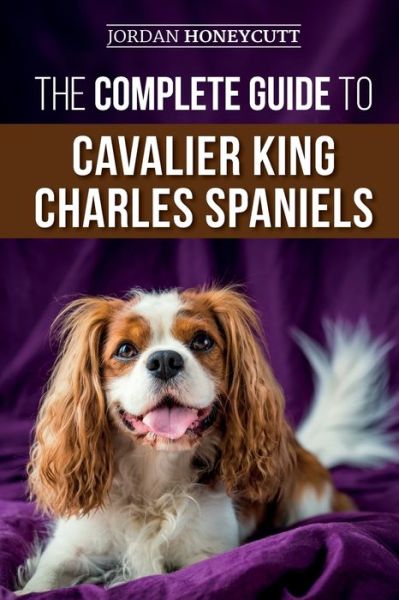 Cover for Jordan Honeycutt · The Complete Guide to Cavalier King Charles Spaniels (Paperback Book) (2019)