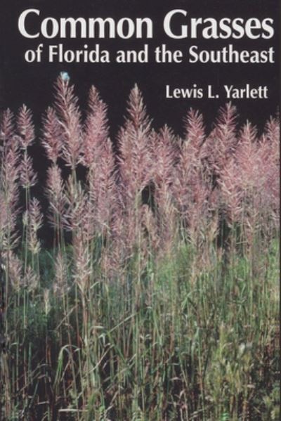 Common Grasses of Florida & The Southeast - Lewis L. Yarlett - Książki - Great Outdoors Publishing Company - 9781885258052 - 1996