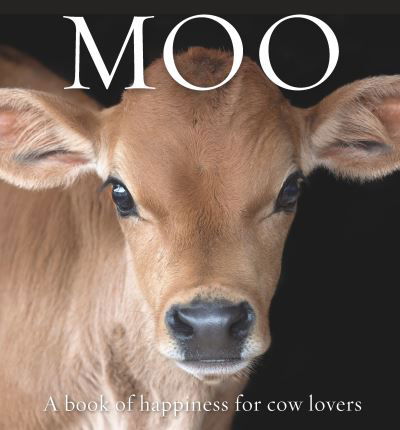 Cover for Angus St John Thomas · Moo: A book of happiness for cow lovers - Animal Happiness (Hardcover Book) (2021)