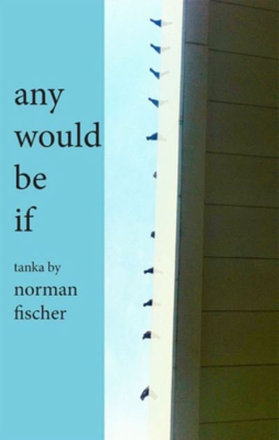 Cover for Norman Fischer · Any Would Be If (Paperback Book) (2017)