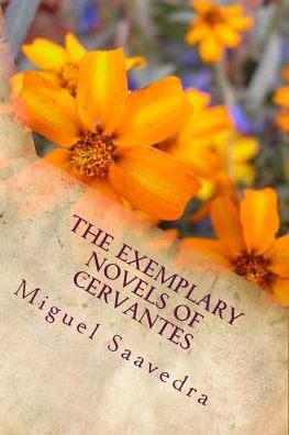 Cover for Miguel de Cervantes Saavedra · The Exemplary Novels of Cervantes (Pocketbok) (2018)