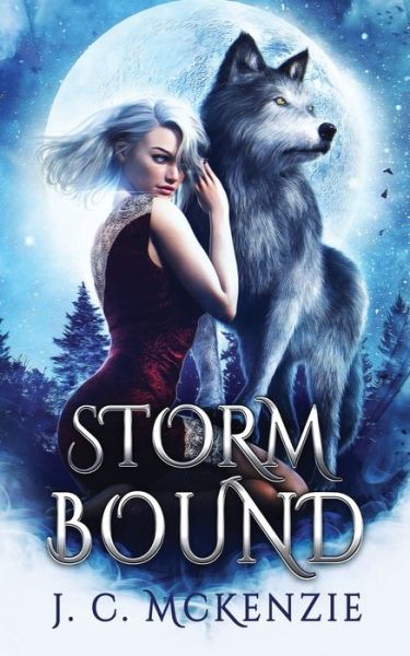 Cover for J C McKenzie · Stormbound (Paperback Book) (2021)
