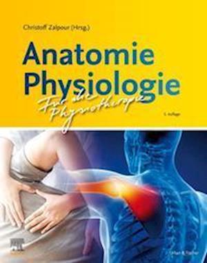 Anatomie Physiologie für die Physiotherapie - Christoff Zalpour - Books - Urban & Fischer/Elsevier - 9783437453052 - April 12, 2022