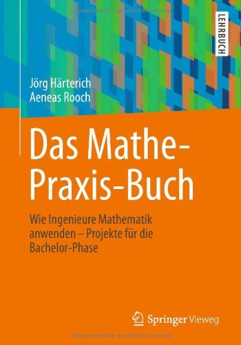 Cover for H  Rterich  J  Rg · Das Mathe Praxis Buch (Paperback Book) [German, 2014 edition] (2013)