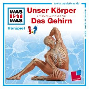 Cover for Was Ist Was · Folge 11: Unser Körper / Das Gehirn (CD) (2012)